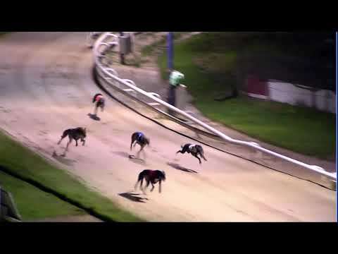 2020 RPGTV ST LEGER - HEAT 5 - T1 BALLYDOYLE BEE