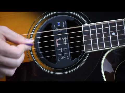 Shadow SH2000 Allround Pickup iMuso