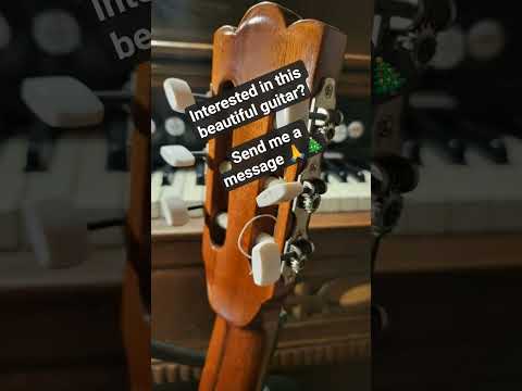 Siegfried Todt – 1985 Masterbuilt Concert Guitar – Fully Restored image 14