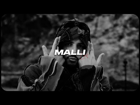 DARDAN x AZET Type Beat - MALLI (prod. by LNF8 x @trena4219 )