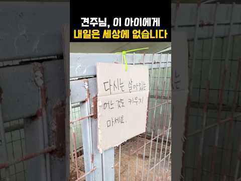 다시는 살아있는 어느것도 키우지 마세요