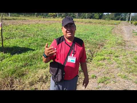 Fraccionamiento VILLAS DE SAN JOSÉ En Aldea San José Mogollón Nueva Concepción Esc- En Venta 2 Lotes