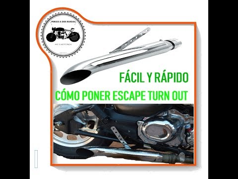 download lagu mp3 mp4 Escape Turn Out, download lagu Escape Turn Out gratis, unduh video klip Escape Turn Out