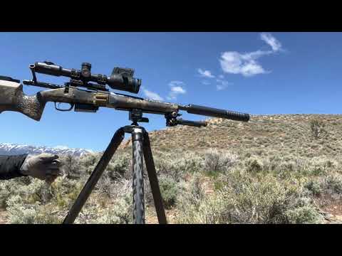 CAT JL suppressor review vs Diligent Defense Enticer LTi vs AB Raptor 10 5.56mm on 6 & 22 creedmoor