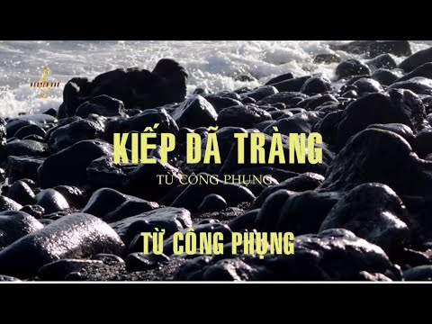 Kiếp dã tràng Sheet - Từ Công Phụng