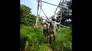 Download lagu Perkosa di hutan mp3