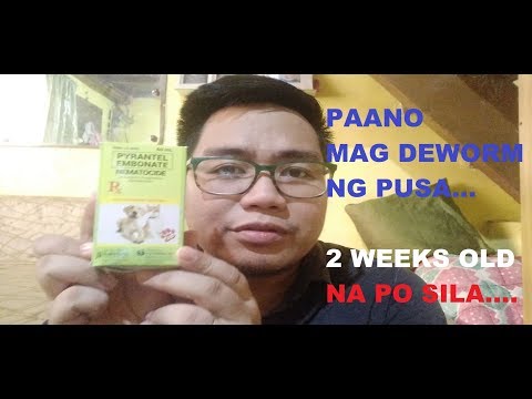 PAANO MAG DEWORM NG PUSA - NEMATOCIDE FOR CATS 5th vlog