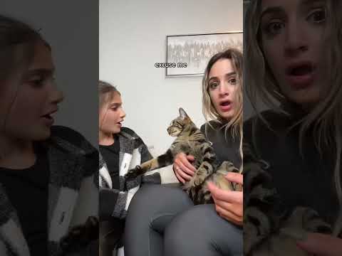 THE WAY HE TREID TO SLAP HER 😂 #shorts #viral