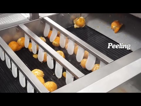 Mandarin Orange Peel Processing Line | Tangerine Peels Washing Peeling Line