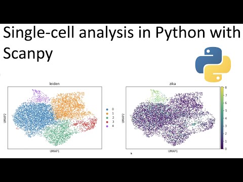 Single cell analysis in python with Scanpy