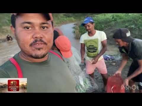 Pescaria no município de terra nova pernambuco 