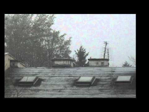 Szron o poranku w Warszawie.