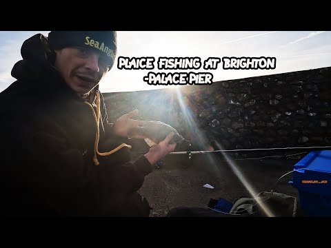 Fishing at Brighton - Plaice fishing | Fishing With Jack | Sea Fishing | UK Fishing | Beach Fishing