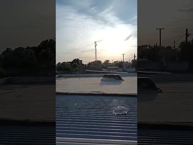 Vídeo relacionado con KALUROIL 24 PCS Engaña a Tus Amigos con Estas Caca Falsa y cucarachas realistas! Juguete de Broma Día de los Inocentes y Fiestas Divertidas