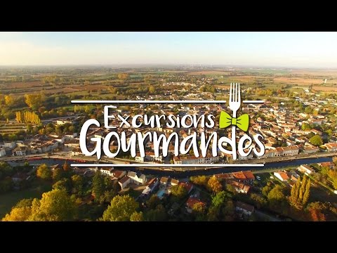 Excursions Gourmandes – Poitou-Charentes - L'anguille du Marais Poitevin