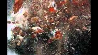 Red Rat--Nuh Live Nuh Weh ft Crissy D