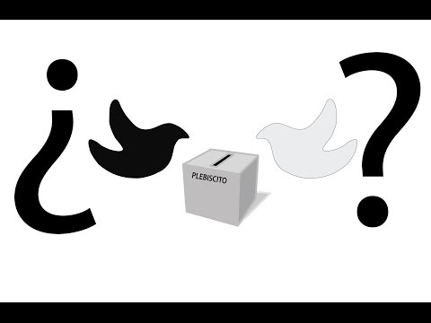 Pulso de la Opinión - Plebiscito