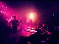 the Bees - Sky holds the sun