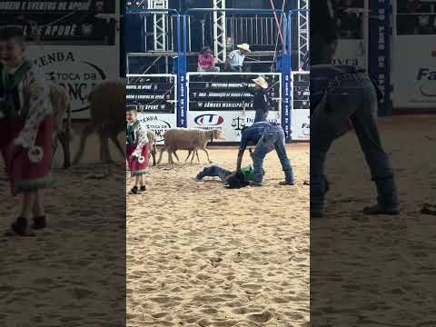 Campeão de Aporé GO  #rodeio #rodeiocarneiro #montarias