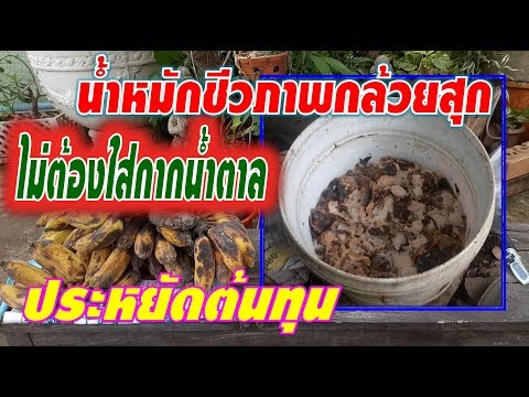 ทาสีอาหารกลาก Tacrolimus ในการรักษาโรคสะเก็ดเงิน