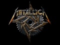 Metallica - Fuel For Fire 