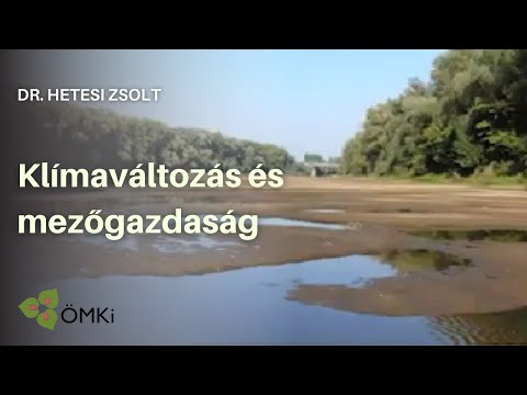 Fájdalom a karok és a lábak ízületeiben gyógyszer