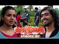 Kodukari කෝඩුකාරි Episode 187 04th February 2026