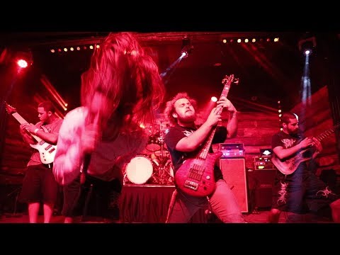 THE LAST OF LUCY - Formication - Official Live Music Video