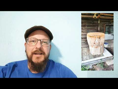 Ankündigung: Bienen in alter Klotzbeute