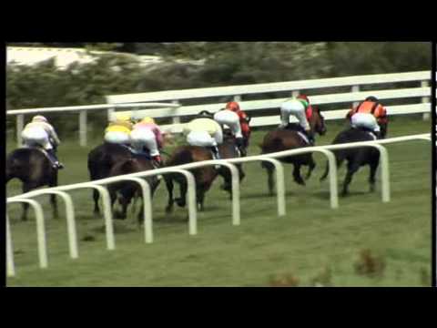 23.07.2011 Bad Harzburg 1.Rennen Preis der Bad Harzburg-Card (F) 1.850 m