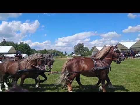 klif- Tlumačov 100 let.