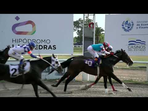 211230 c08 - BERRACO - HIPODROMO LAS PIEDRAS