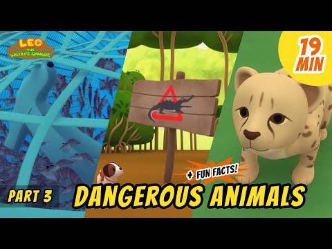 Witness21 Editor  2020 08 13