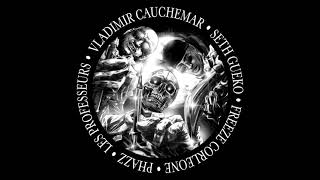 Kadr z teledysku Les Professeurs tekst piosenki Vladimir Cauchemar