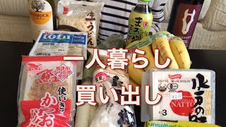 一人暮らしの買い出し品紹介　|食材|酒|  お得に買い物【海外生活】