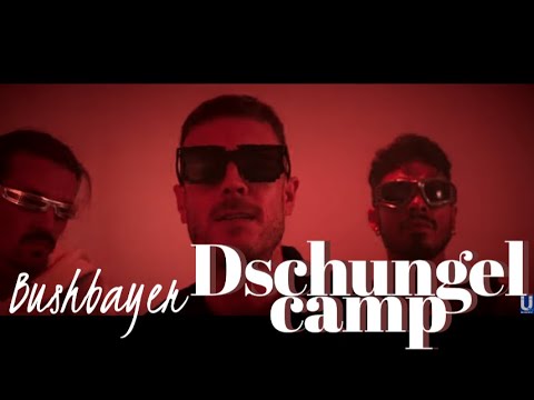 Bushbayer - Dschungelcamp
