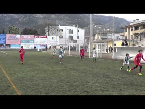 CIRC SOLLERENSE     ARTA