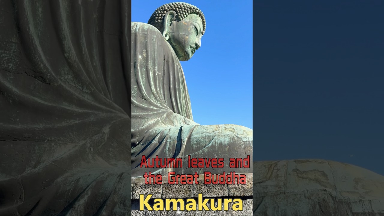 【Great Buddha of Kamakura】japanese landscape #travel