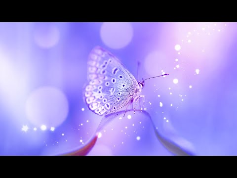 Enhance Self Love | 528Hz Miracle Healing | Ancient Frequency Music | Raise Positive Vibration