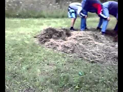 cazatura lui alyosa :)) lapte gros in bontaieni