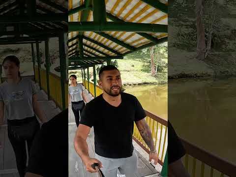 Guática es MÁS antigua de lo que crees 😳🌿