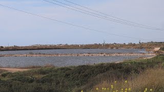 "יום העצמאות שלך יהיה כשתהיה קרוב לאלוקים וליהדות"... ומי הוא האויב הגדול והמסוכן ביותר שלנו