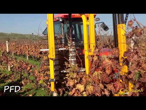 PREPOTATRICE ORIZZONTI PFD