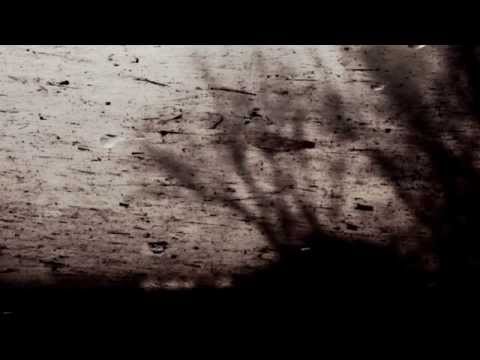 Boudewijn de Groot - Avond (Ik geloof in jou en mij)