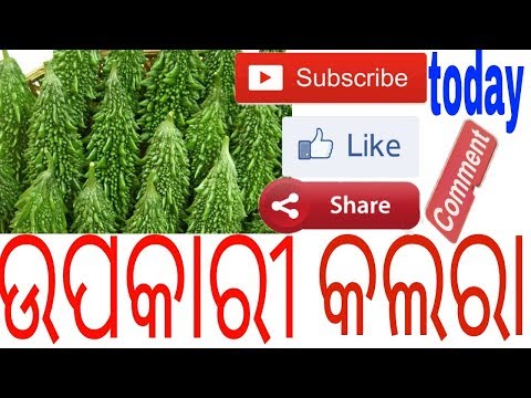 କଲରା ର ଉପକାରିତା,odia benefits of  gourd, odia health tips of bitter guord,, varkha mohapatra Video