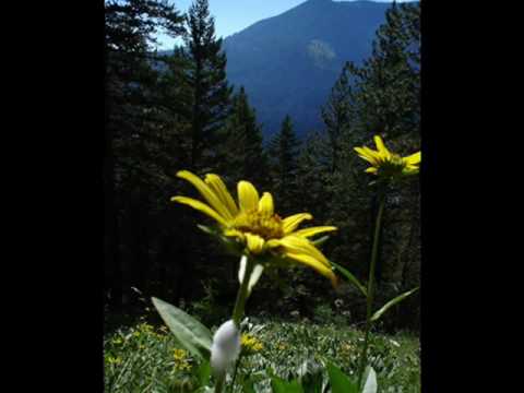 Dumnezeu Este Taria -Maslinu- Italia