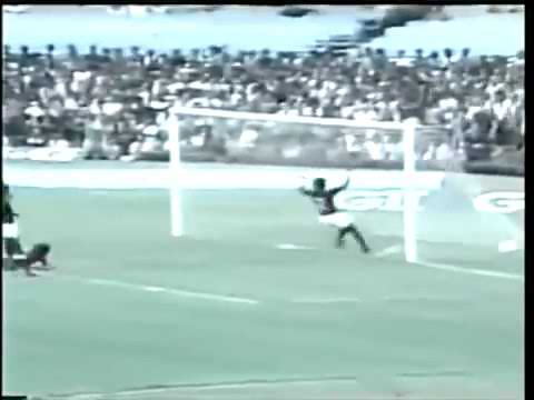 Flamengo 3 x 1 Cruzeiro, Gol de Nelinho do meio da rua