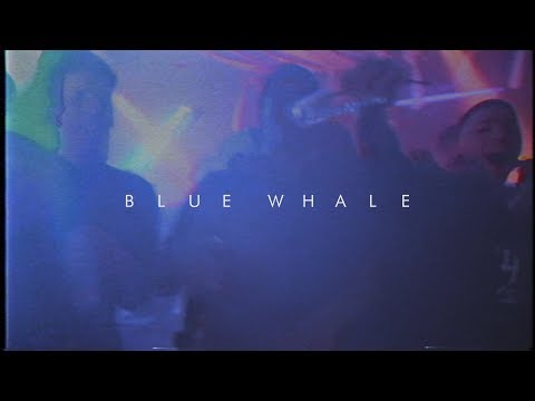 SADYANS Ft. WETZ - BLUE WHALE [VIDEOCLIP]