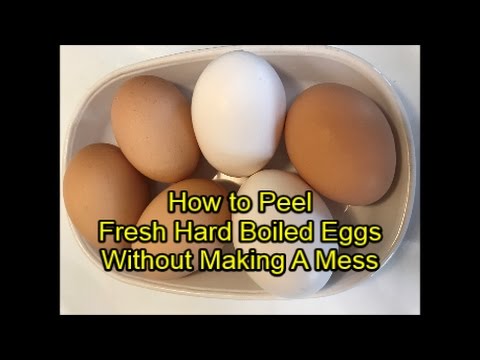 download lagu mp3 mp4 How To Peel Hard Boiled Eggs Without Destroying Egg, download lagu How To Peel Hard Boiled Eggs Without Destroying Egg gratis, unduh video klip How To Peel Hard Boiled Eggs Without Destroying Egg