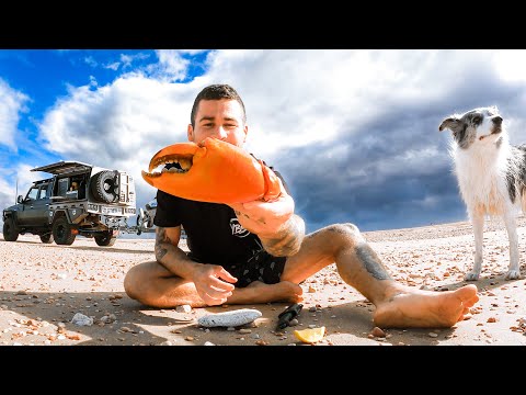 GIANT MUD CRAB Catch and Cook in Remote Australia - We found an Abandoned BOAT - Amazing Turtle